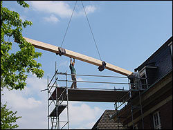 ::Montage eines Dinesen-Holzdielenbodens holzboden202